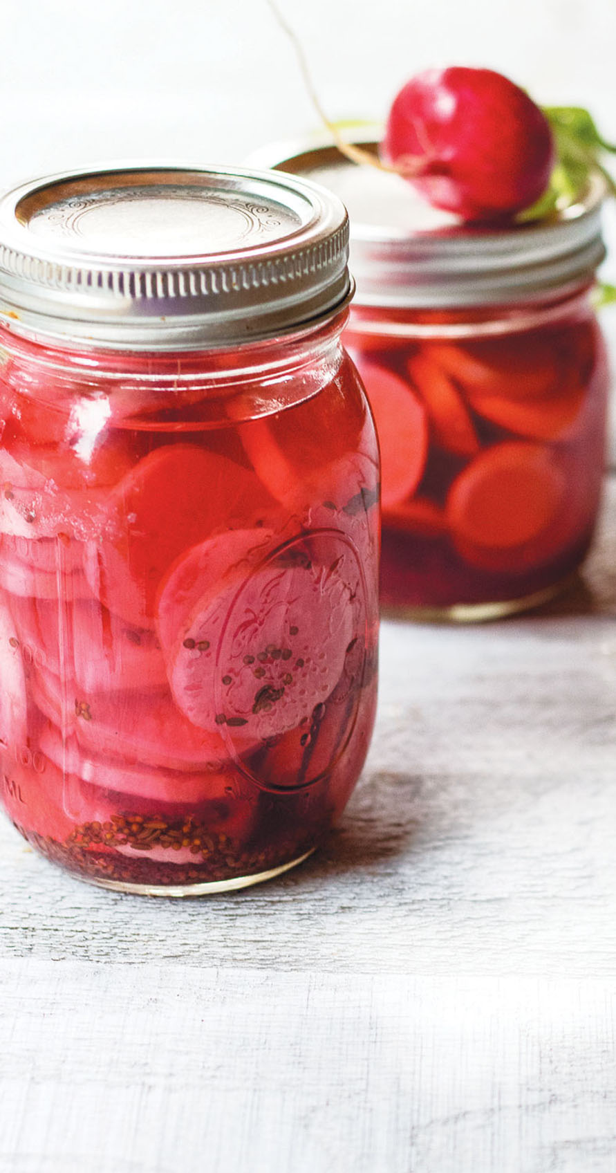 Quick Refrigerator Radish Pickles | Edible Grande Traverse