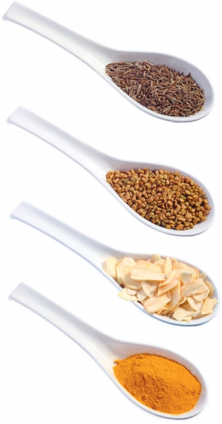 Various spices in spoon